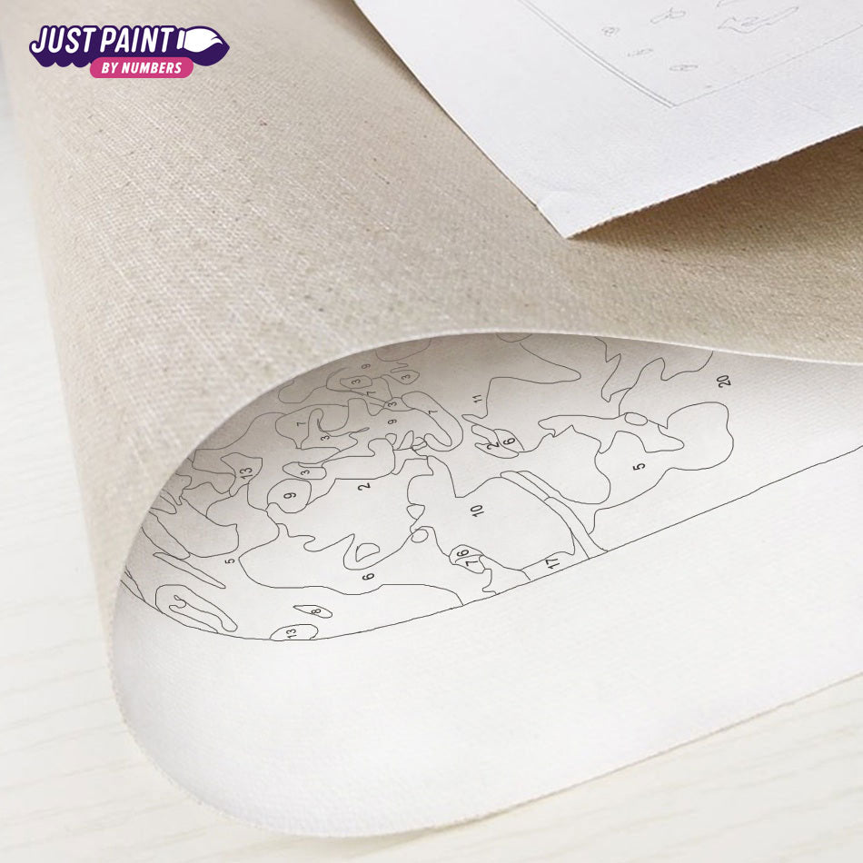 Custom Paint by Numbers as a Gift