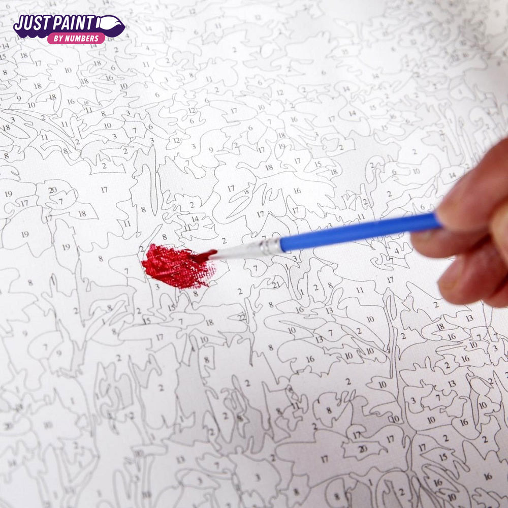 Custom Paint by Numbers as a Gift