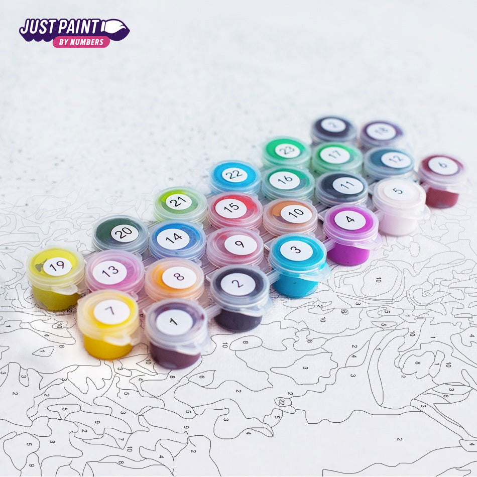 Custom Paint by Numbers