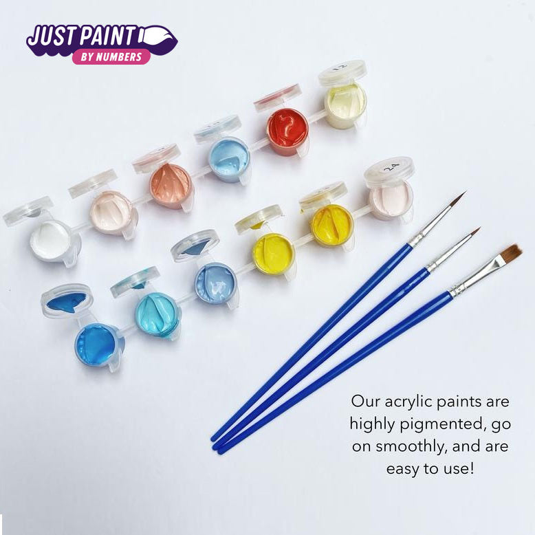 Custom Paint by Numbers