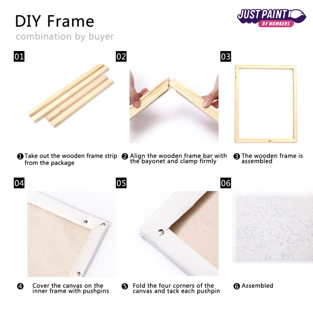 Custom Paint by Numbers With Your Photo