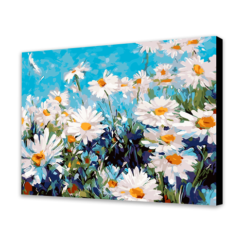 Daisies