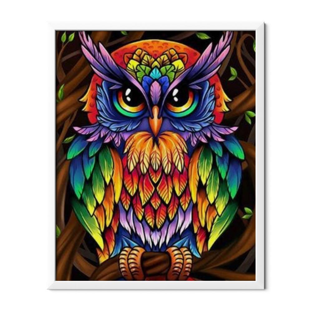Colorful Owl
