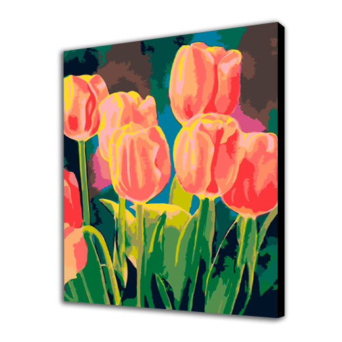 Tulips