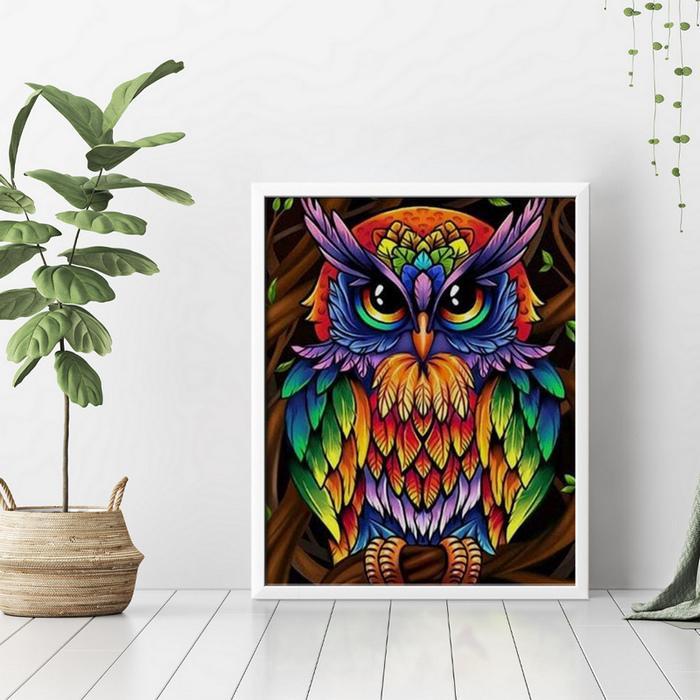 Colorful Owl