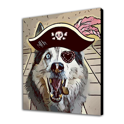 Pirate Dog