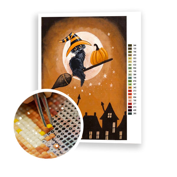 Cat on a broom