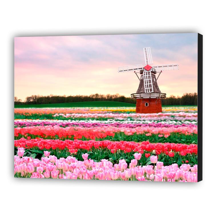 Holland Flowers