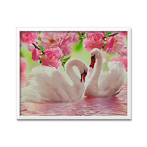 Swans