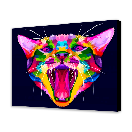 Colorful Cat
