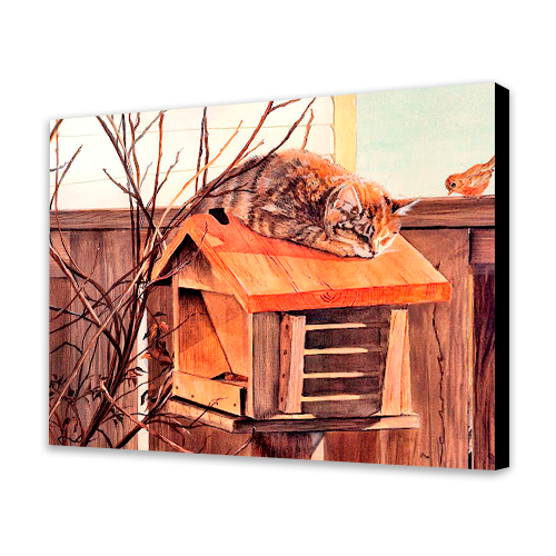 Cat on a Birdhouse