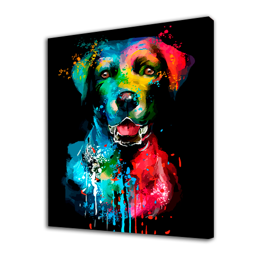Colorful Dog
