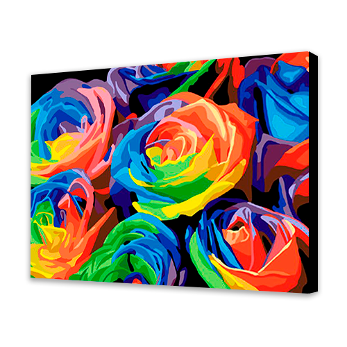 Colorful Roses