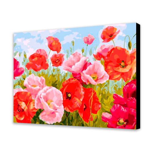 Red and Pink Flowers