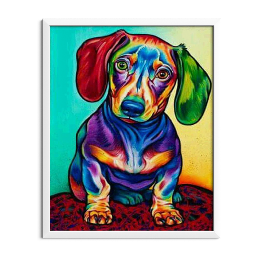 Colored Dachshund
