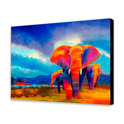 Elephants in the Savannah