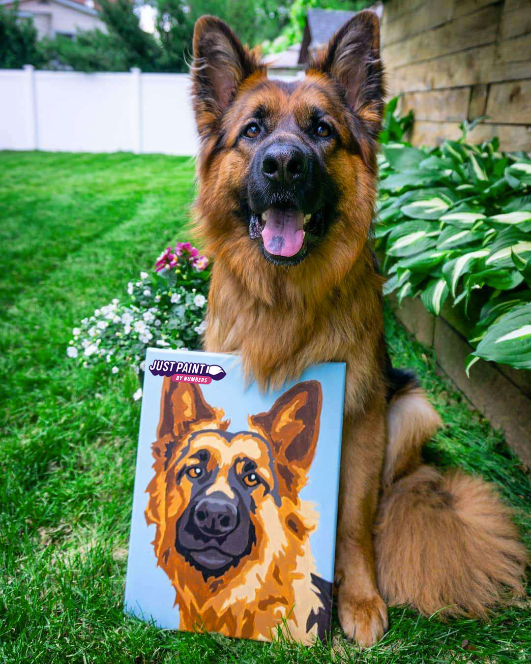 Custom Paint by Numbers as a Gift