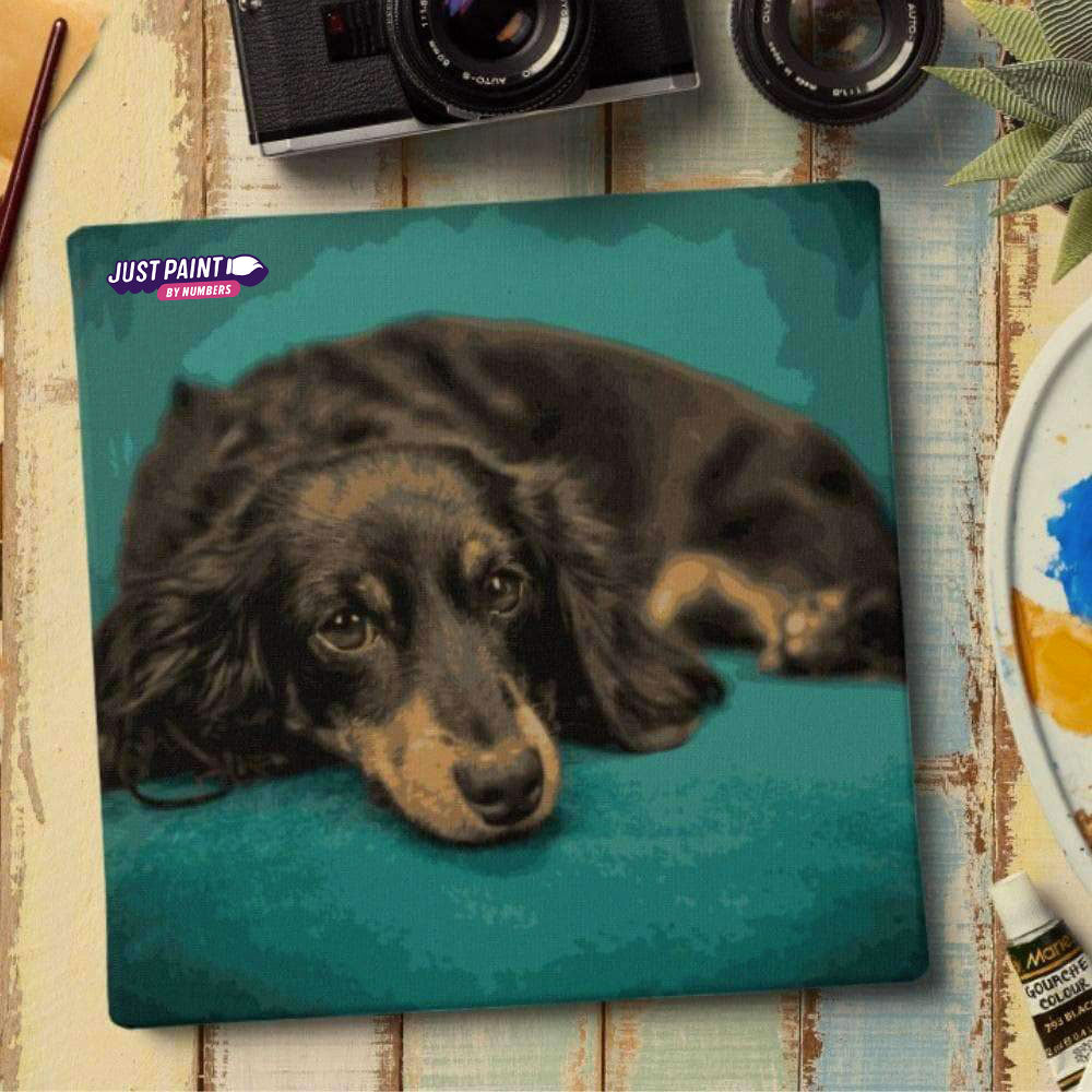 Your Loved Ones in Paint by Numbers