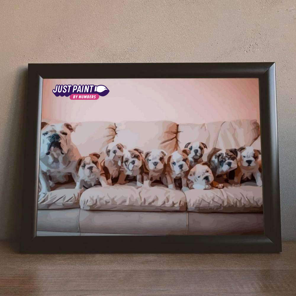 Custom Paint by Numbers as a Gift