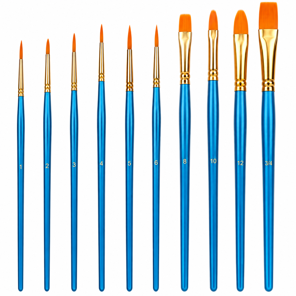 Professional Brushes - 10 pcs