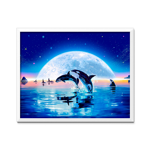 Night Sky and Killer Whales