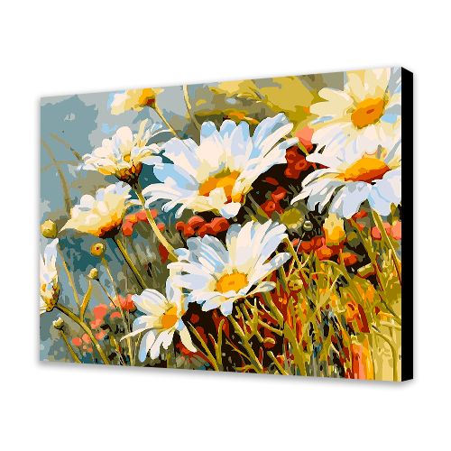 Field of Daisies